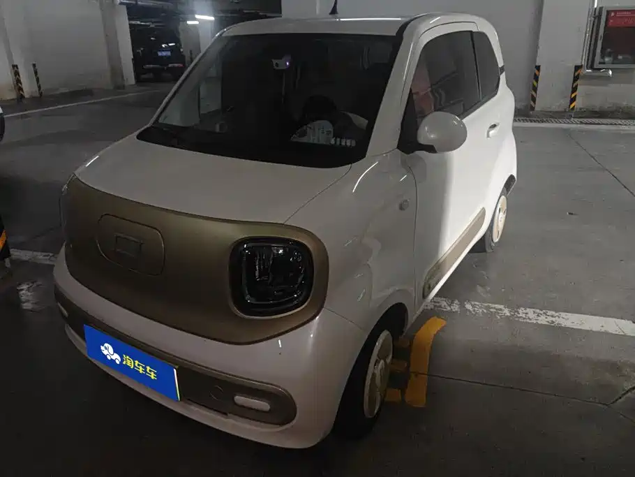 Bestune Pony 2024