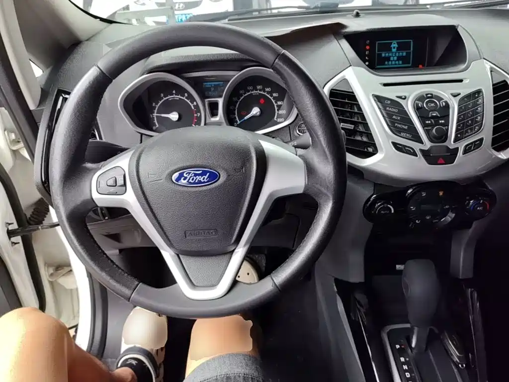 Ford Ecosport 2016 — фото 10