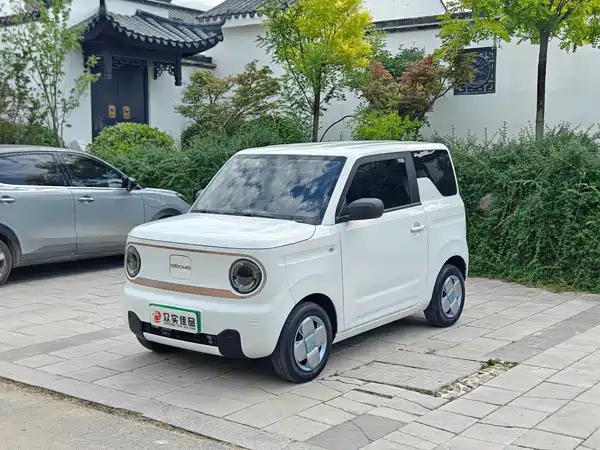 Geely Galaxy Panda 2023