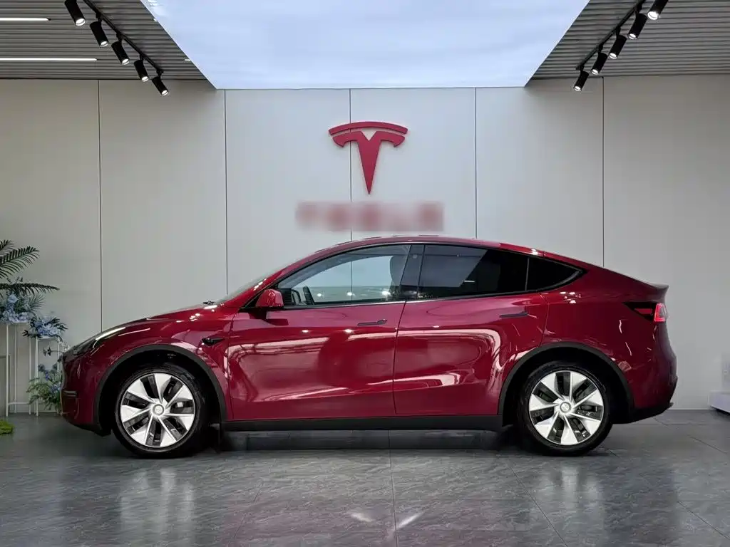 Tesla Model Y 2021 — фото 7