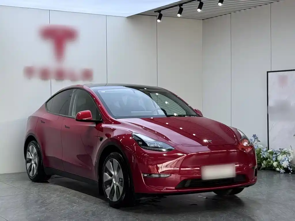 Tesla Model Y 2021 — фото 4