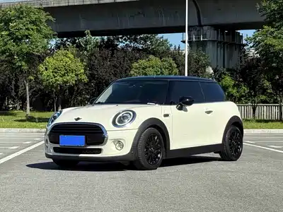 MINI MINI 2018