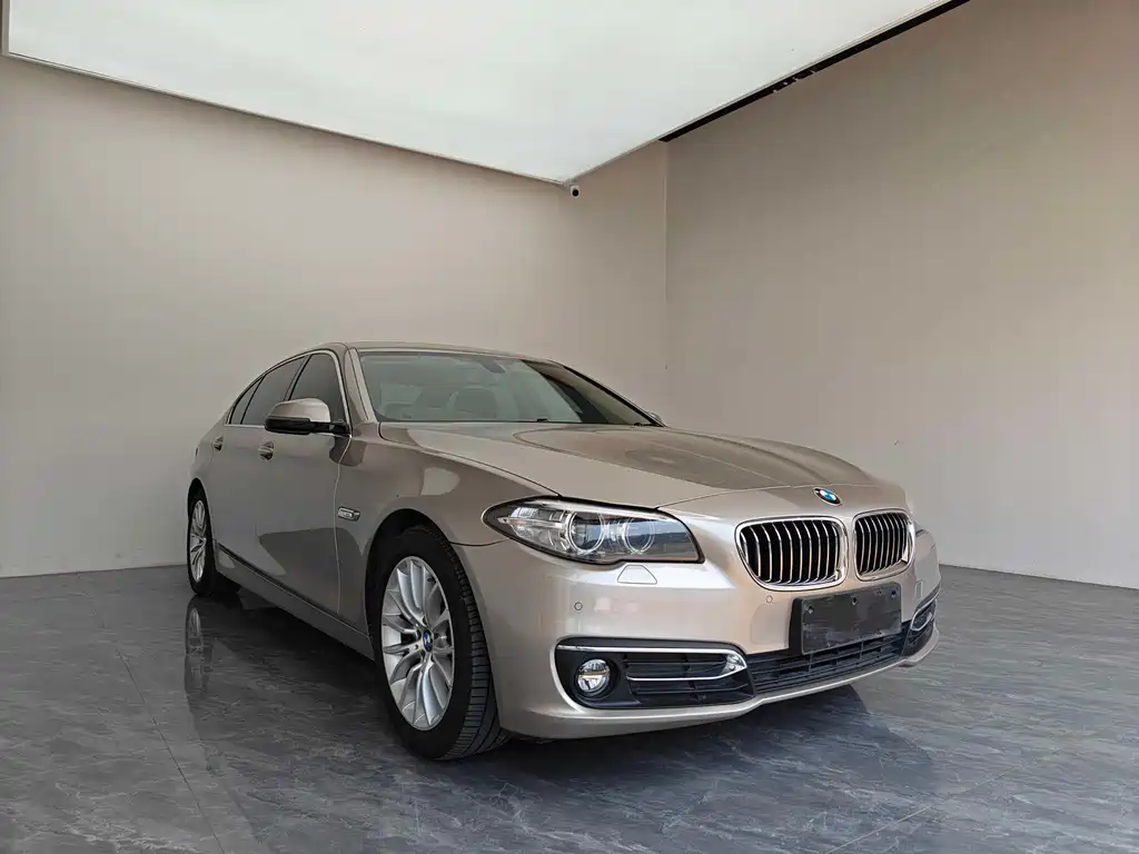 BMW 5 Series 2017 — фото 3