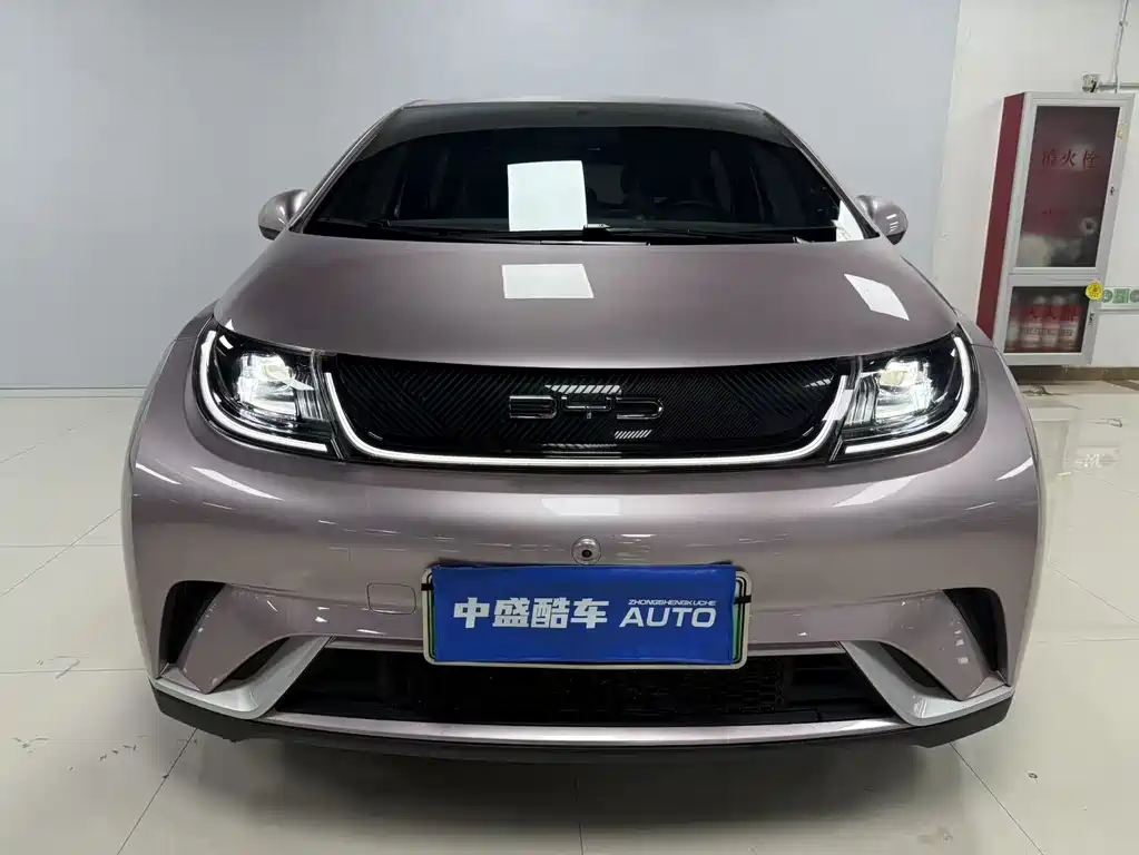 BYD Dolphin 2023 — фото 2