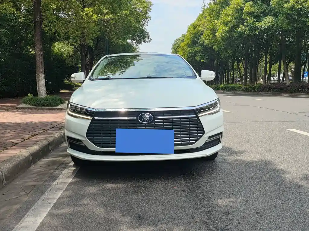 BYD Qin NEV 2020 — фото 2