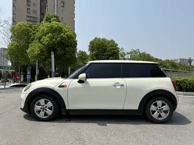 MINI MINI 2014