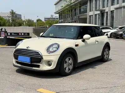 MINI MINI 2014