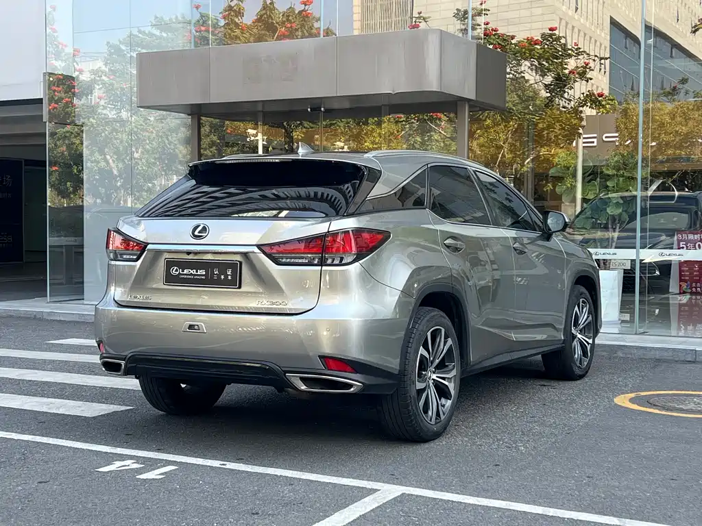Lexus RX 2022 — фото 11