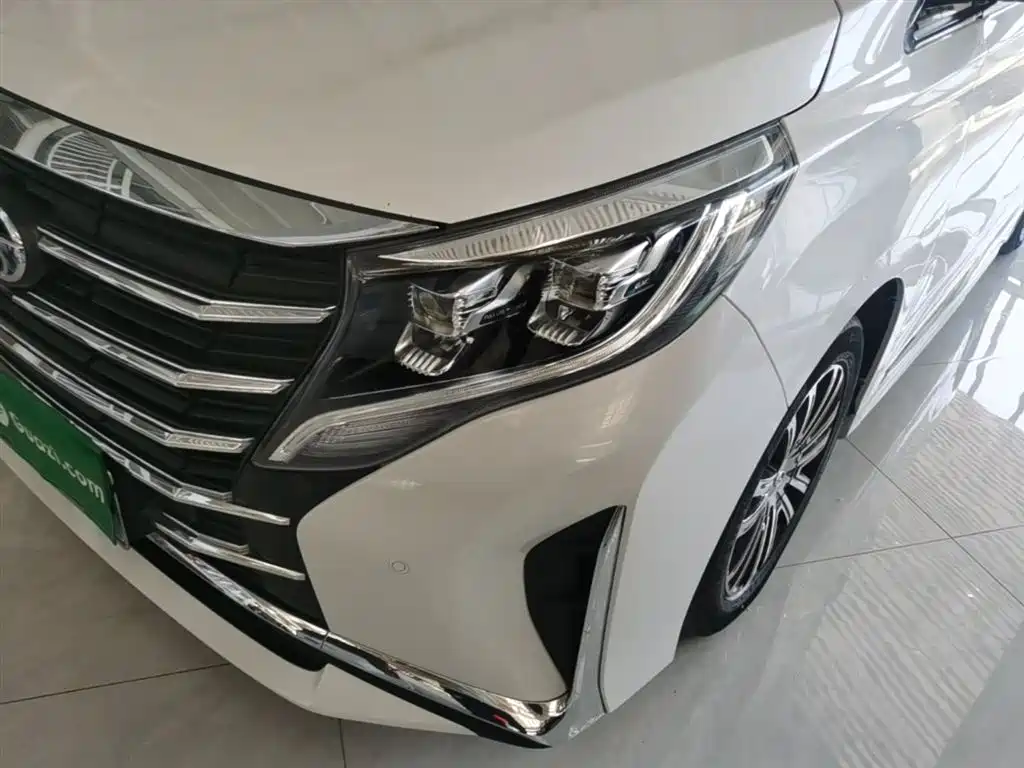 GAC Motor Trumpchi M8 2023 — фото 24