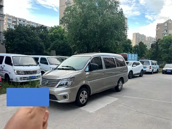 Dongfeng Lingzhi 2020
