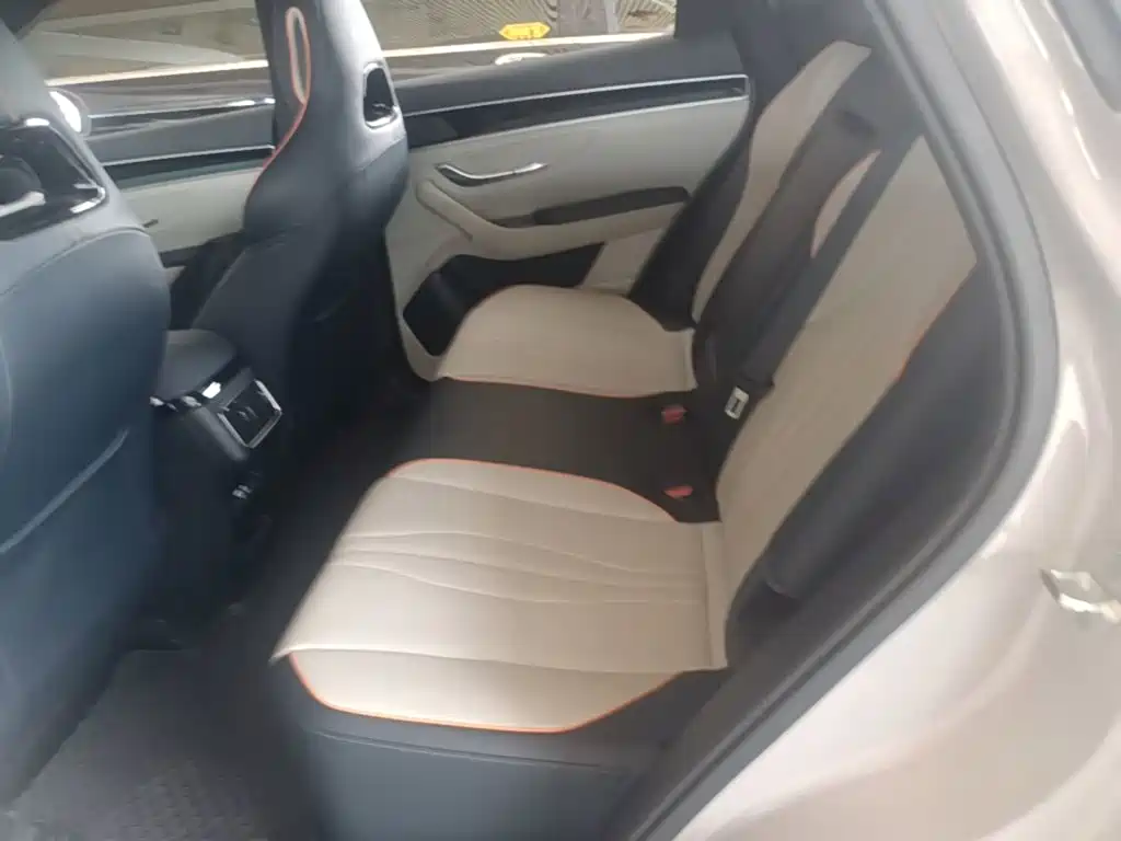 BYD PLUS New Energy 2023 — фото 17