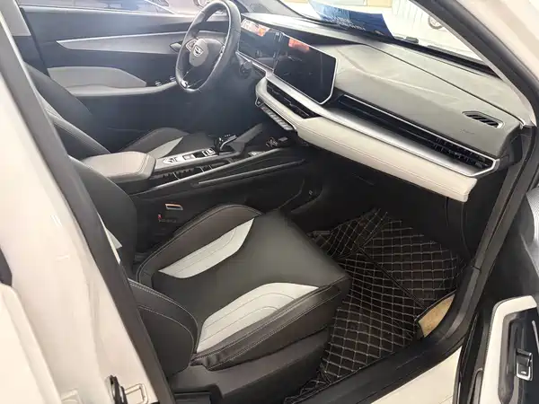 Geely Binrui 2024
