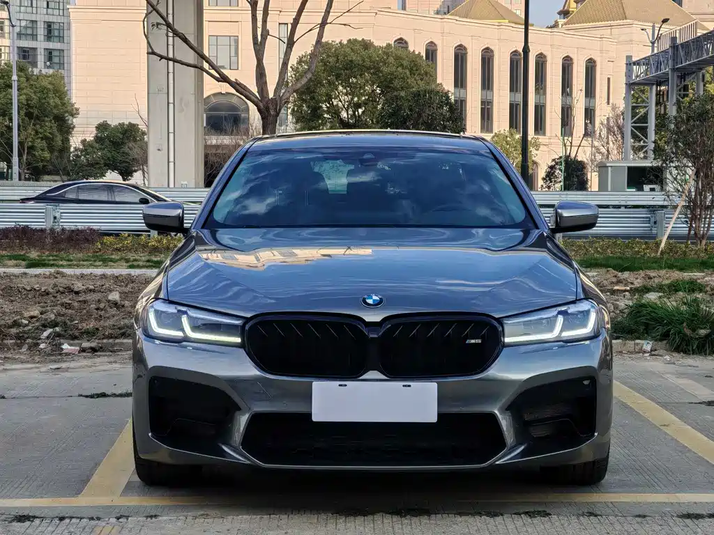 BMW 5 Series New Energy 2020 — фото 2