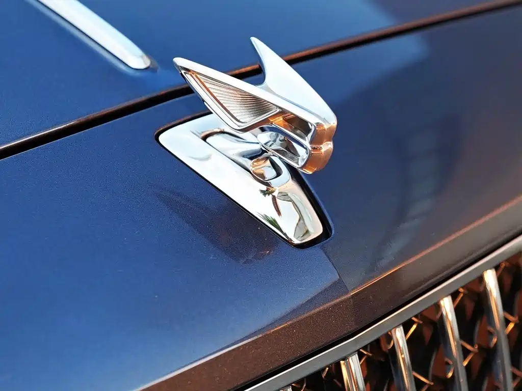 Bentley Flying Spur 2020 — фото 6