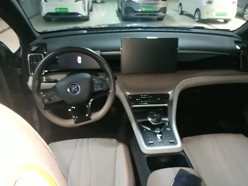 BYD Pro New Energy 2024 — фото 10