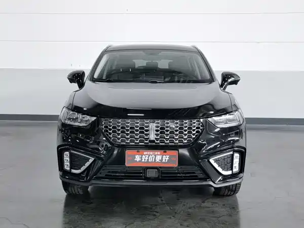 Wey VV5 2020