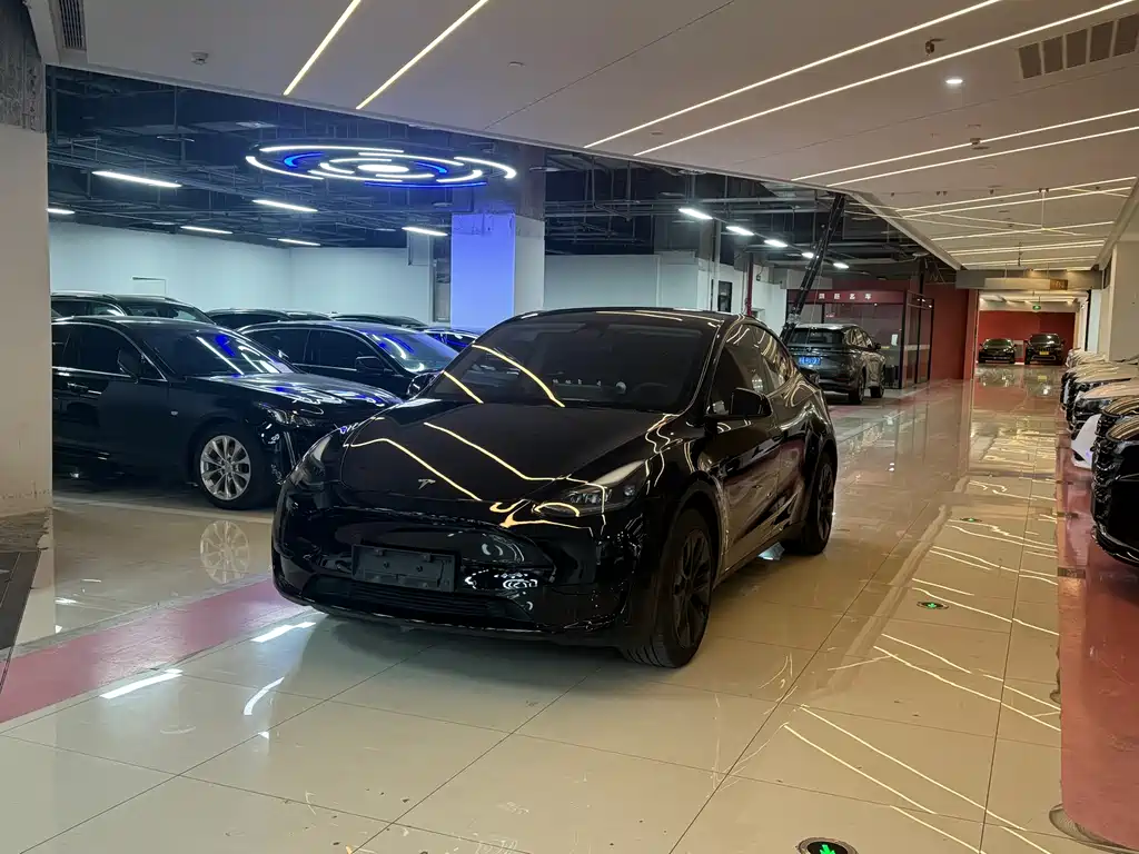 Tesla Model Y 2024