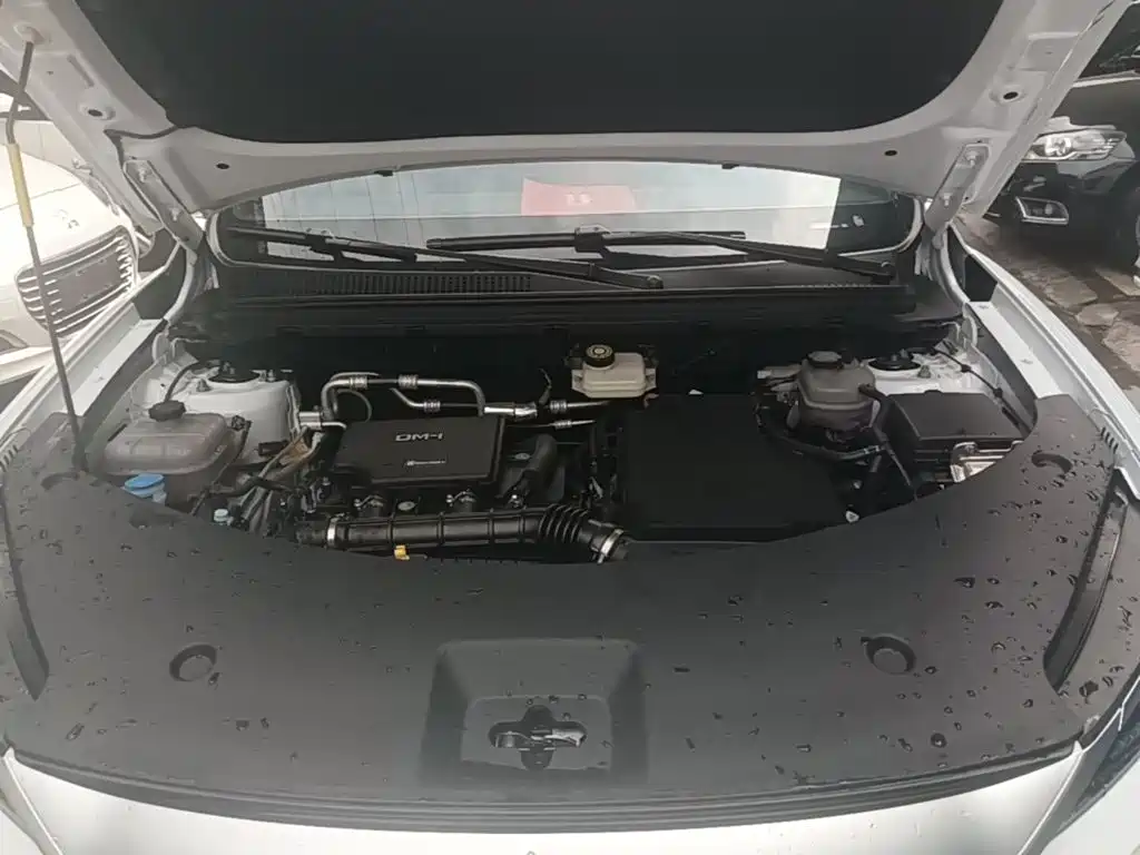 BYD Song Pro New Energy 2026 — фото 20