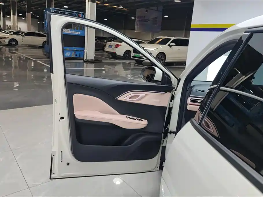 BYD Seagull 2025