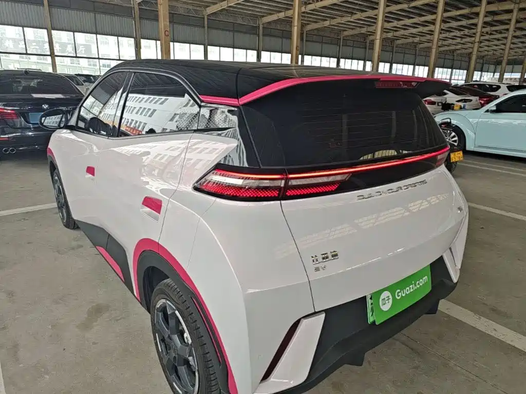 BYD Seagull 2024