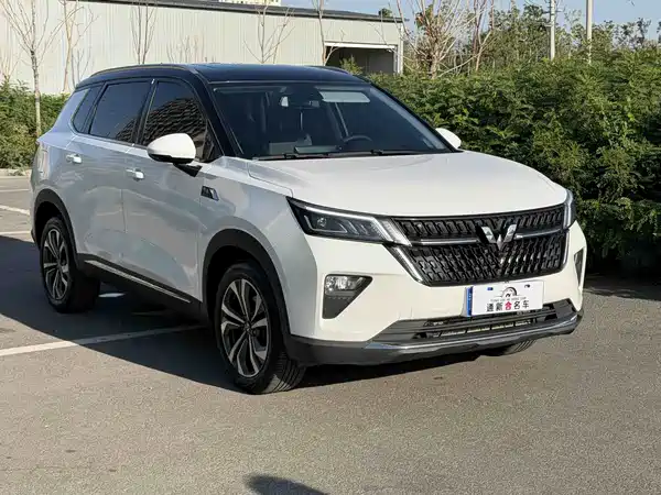 Wuling Star 2023