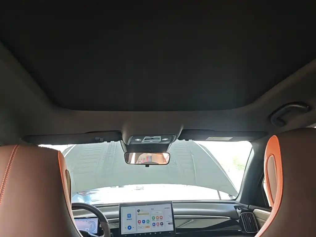 BYD Song Pro New Energy 2024 — фото 18