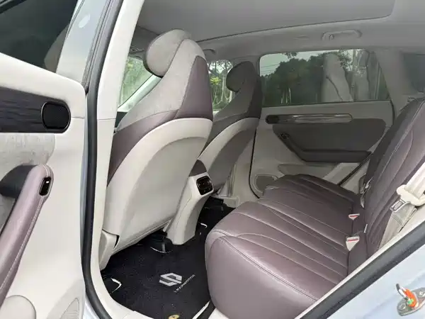 Leapmotor C11 2022