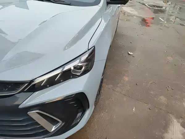 Geely Binrui 2024