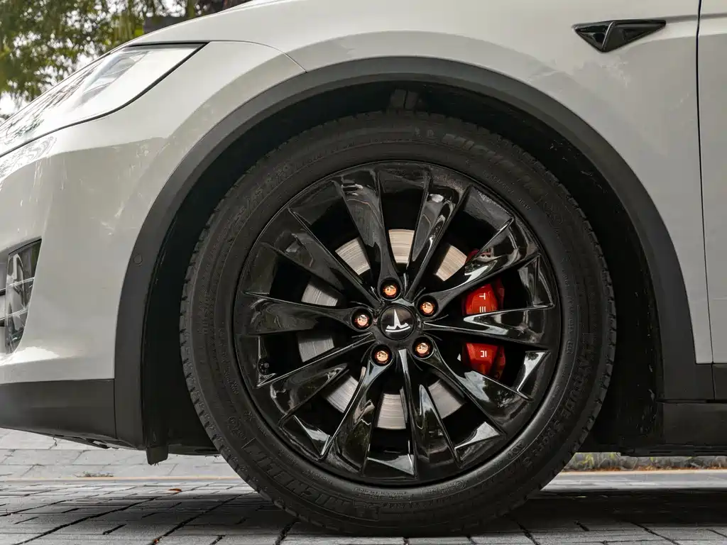 Tesla Model X 2017 — фото 19