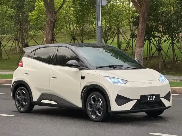 BYD Seagull 2025