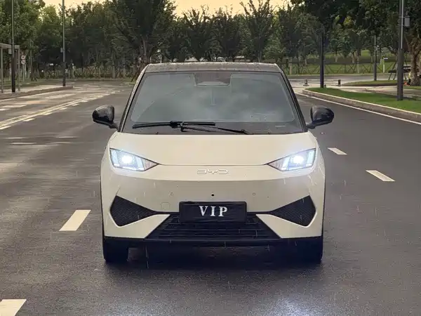 BYD Seagull 2025