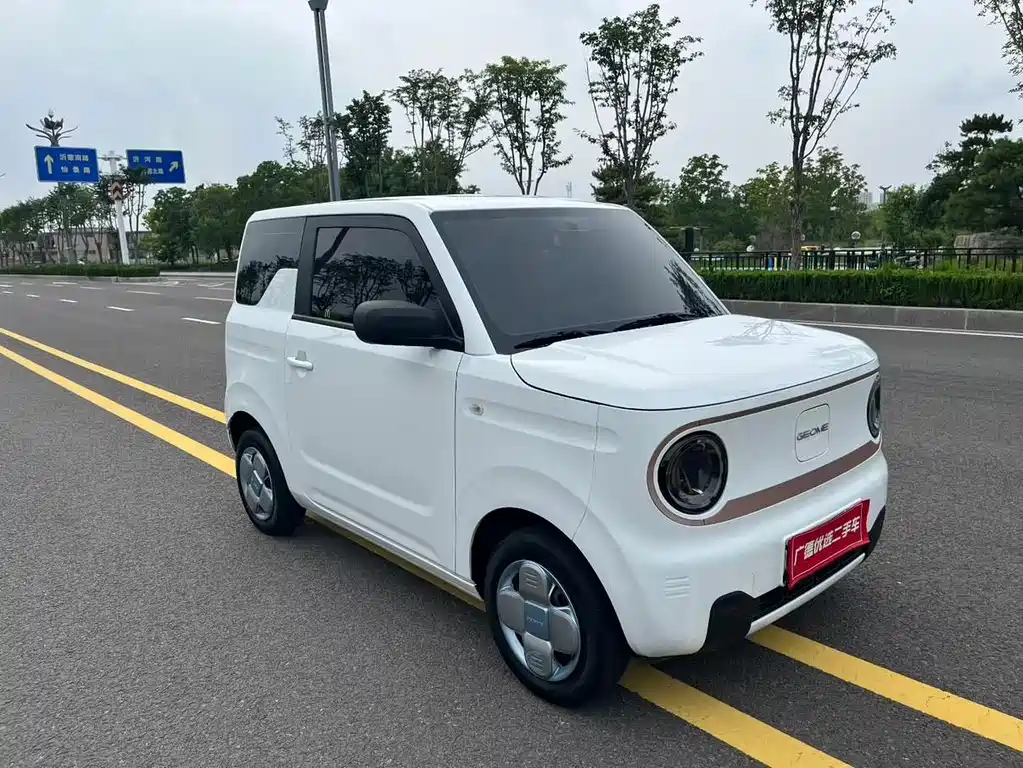 Geely Galaxy Panda 2024 — фото 8