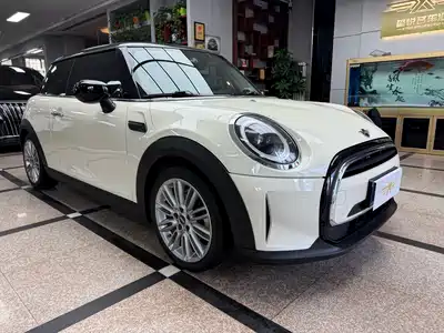 MINI MINI 2022