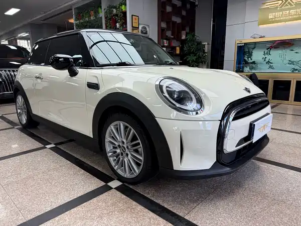 MINI MINI 2022