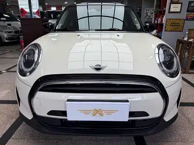 MINI MINI 2022