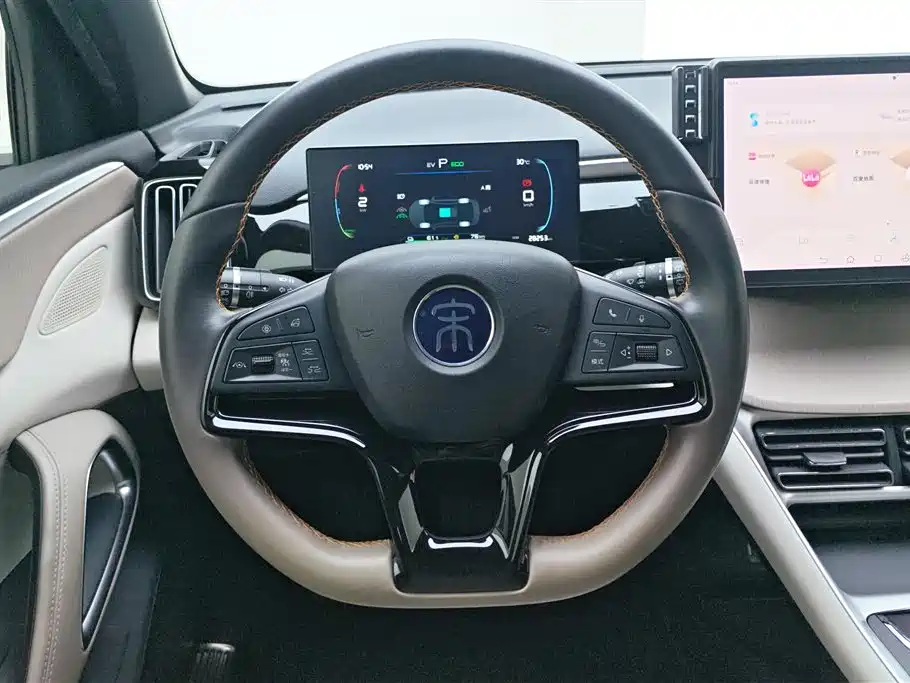 BYD Song Pro New Energy 2024 — фото 15