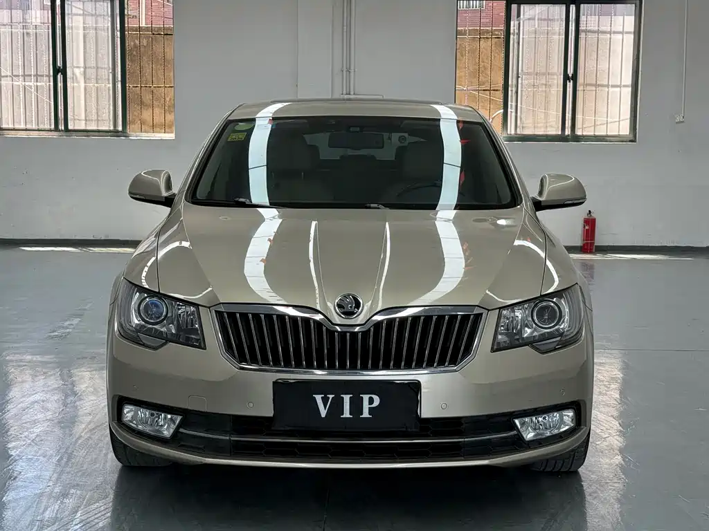 Skoda Speedy 2014