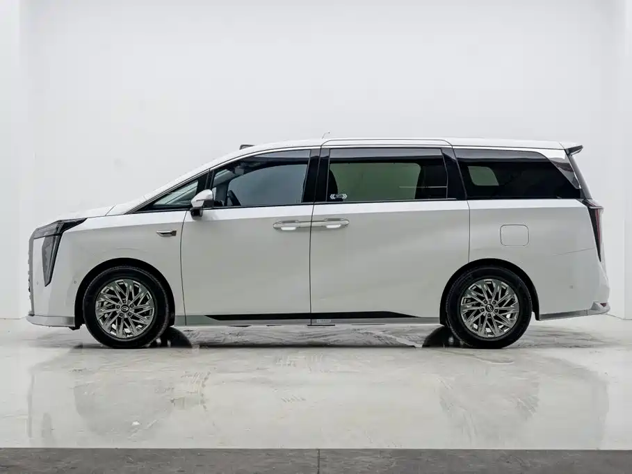 GAC Trumpchi Xiangwang M8 2025 — фото 27