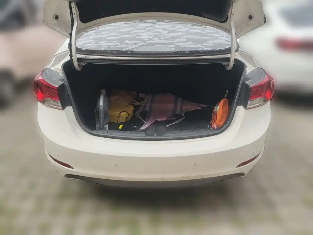 Hyundai Elantra 2015 — фото 15