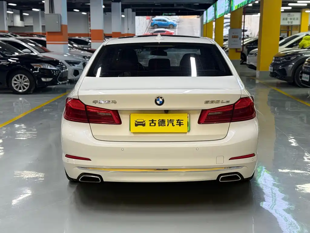 BMW 5 Series New Energy 2020