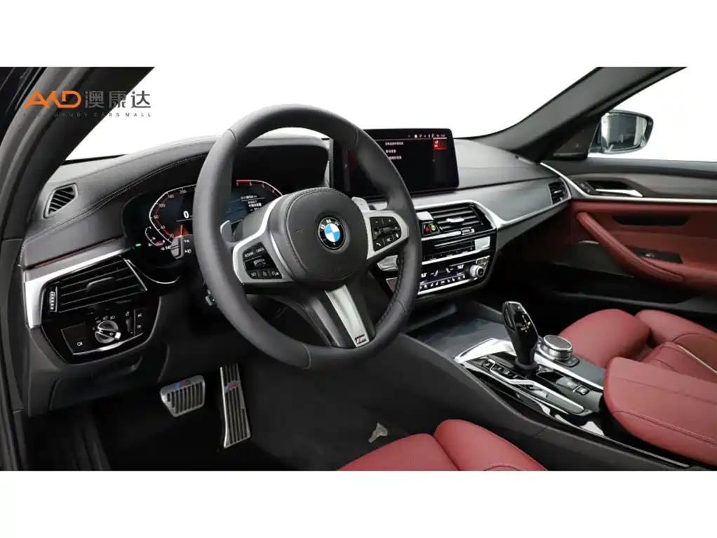 BMW 5 Series 2021