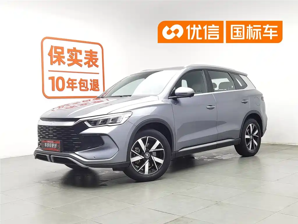 BYD Pro New Energy 2024