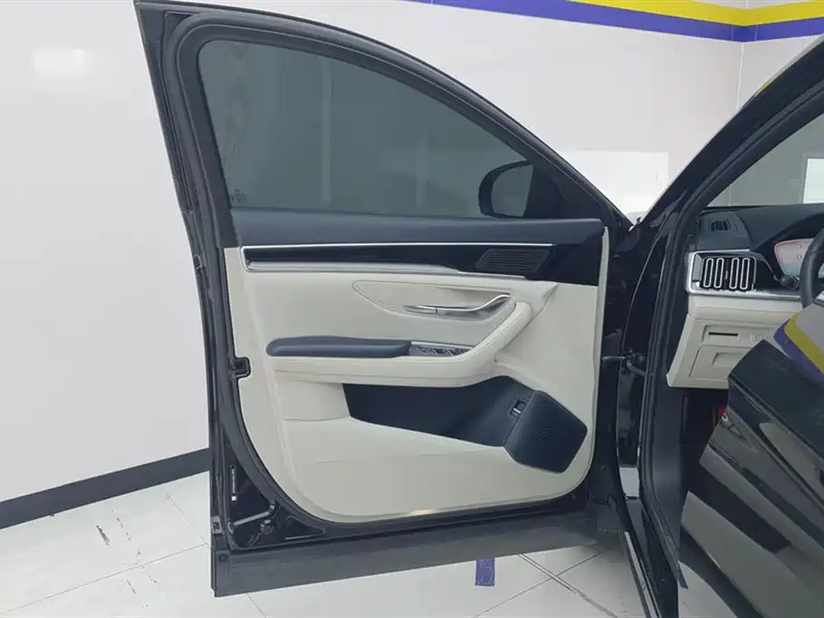 BYD Song PLUS New Energy 2024 — фото 7