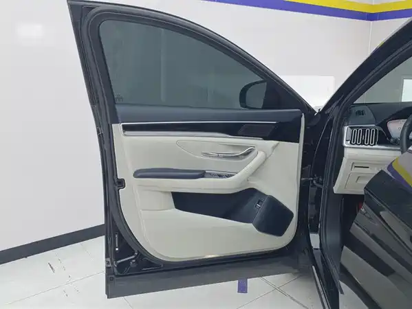 BYD Song PLUS New Energy 2024