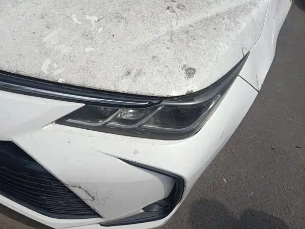Toyota Corolla 2019
