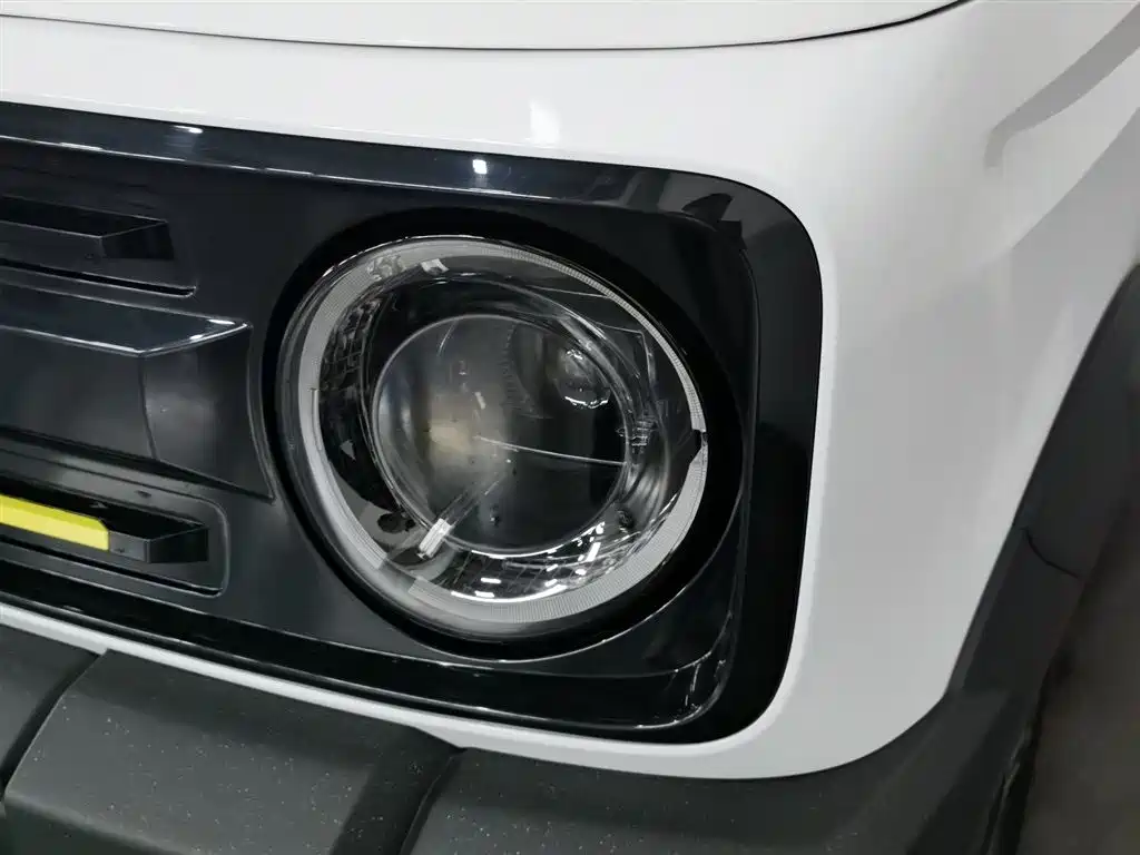 Galaxy Panda 2024