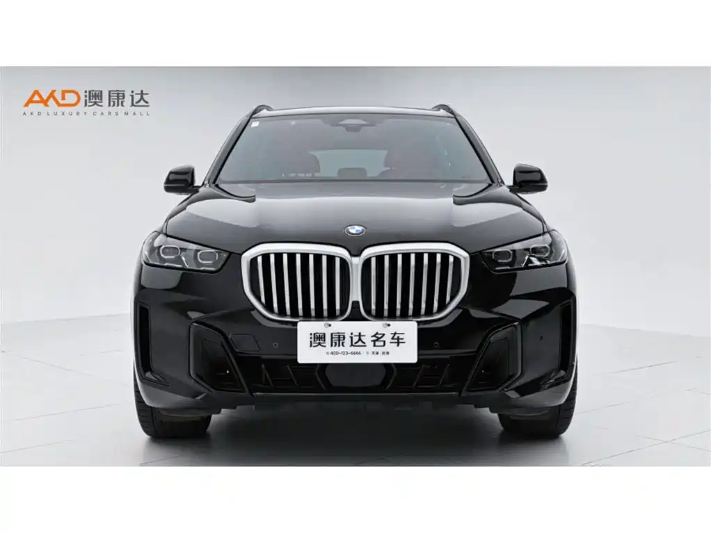 BMW X5 2025