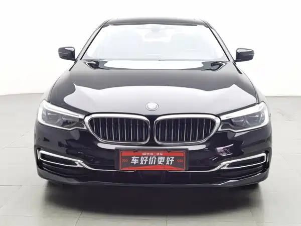 BMW 5 Series New Energy 2019