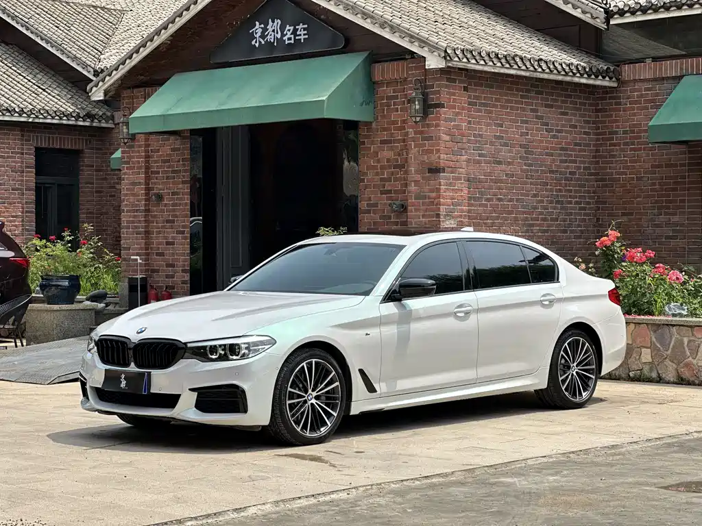 BMW 5 Series 2019