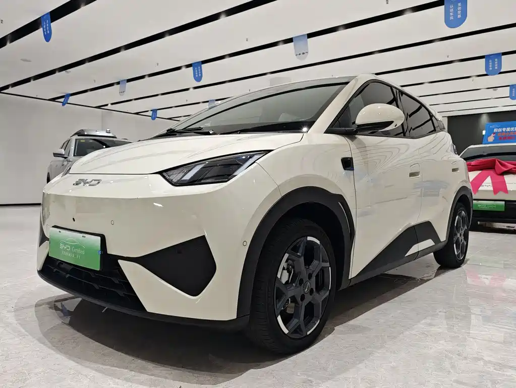 BYD Seagull 2025